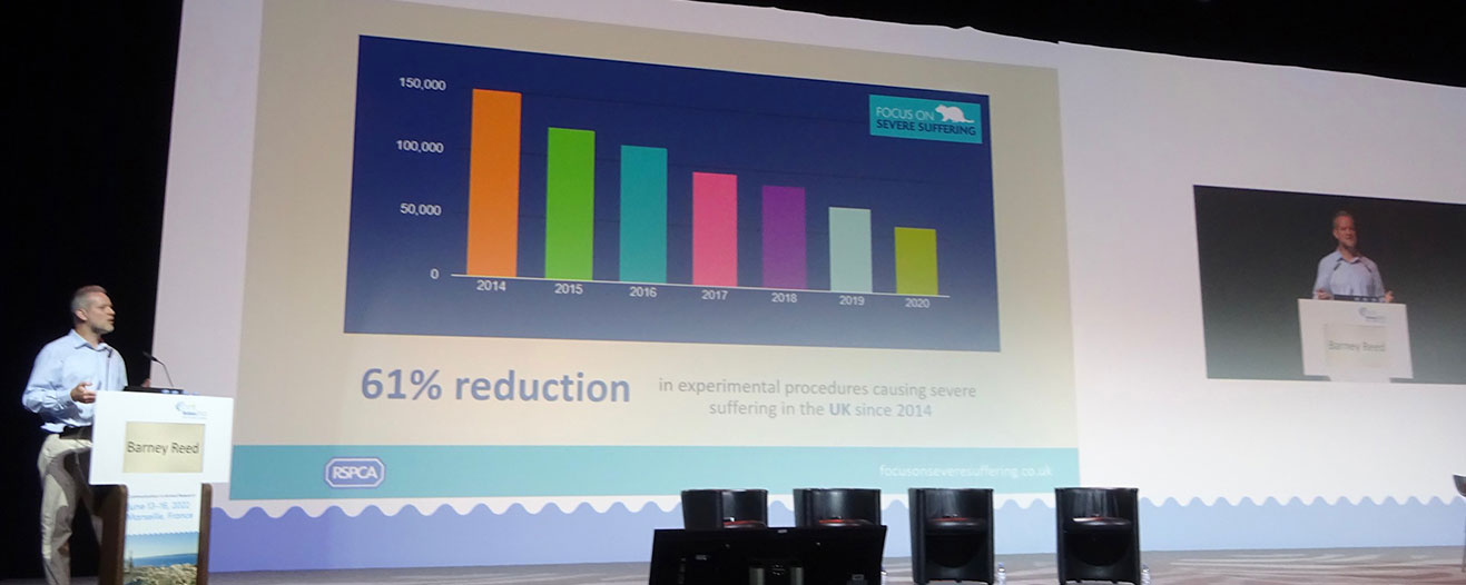 Presentation slide showing 61% reduction in experimental procedures causing severe sufferin gin the UK since 2014.