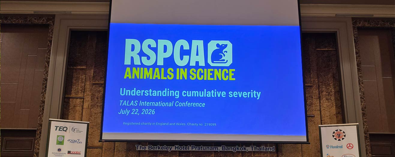 Presentation slide for the RSPCA Understanding cumulative severity presentation in Bangkok.