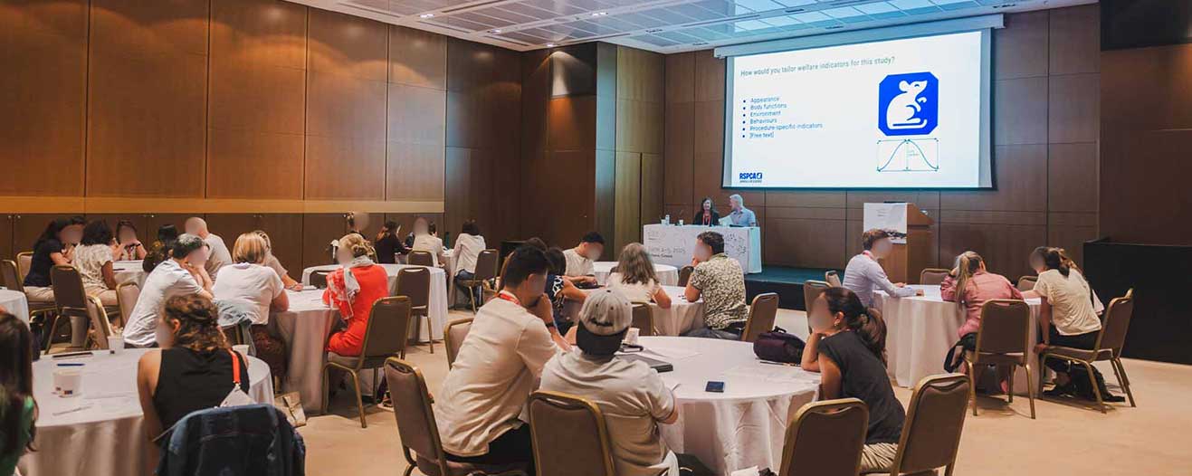 FELASA 2025 delegates sitting around tables.