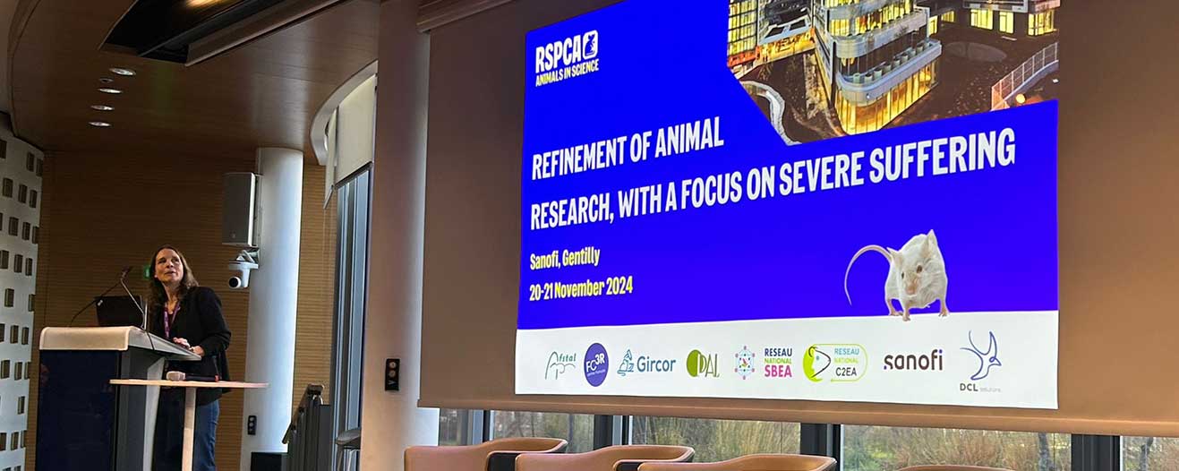 6th international meeting in progress in France