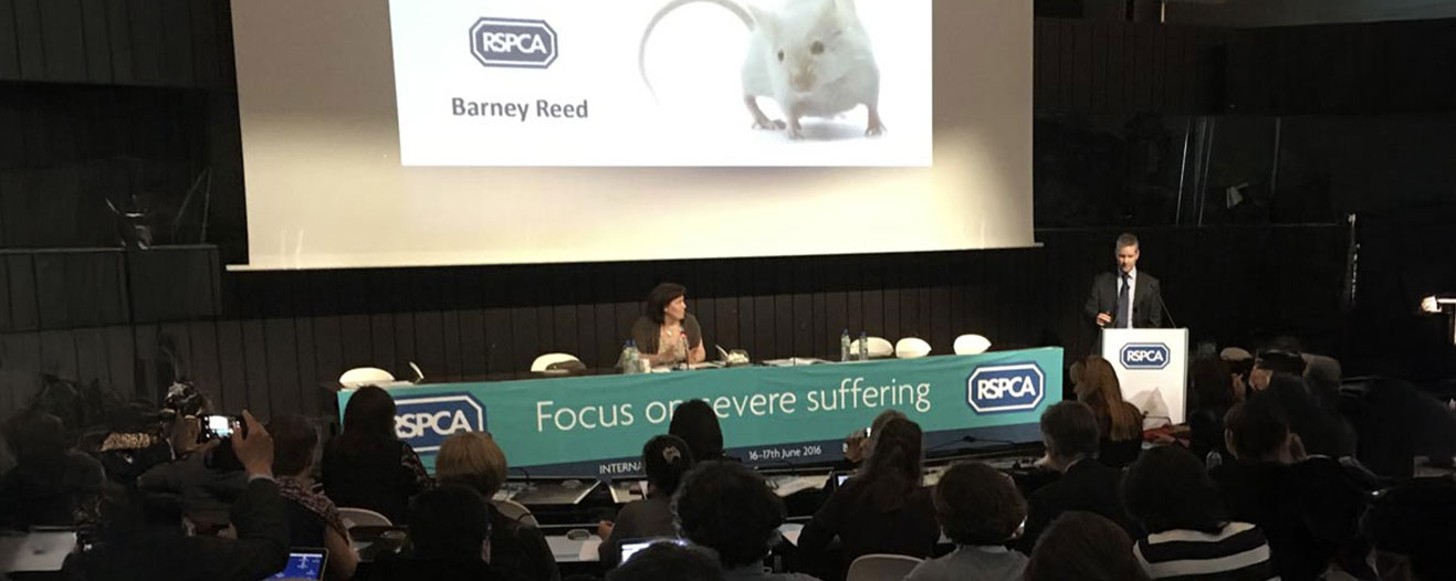 1st International focus on severe suffering meeting in Brussels