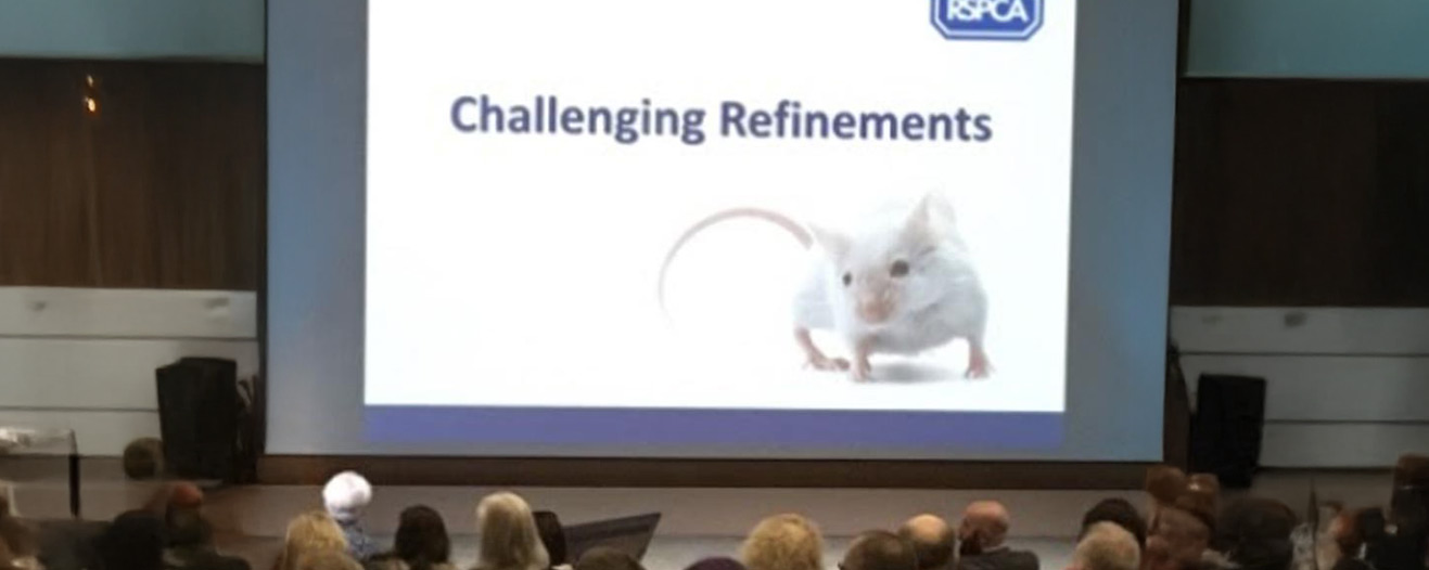 Presentation screen at the Challenging Refinements event.