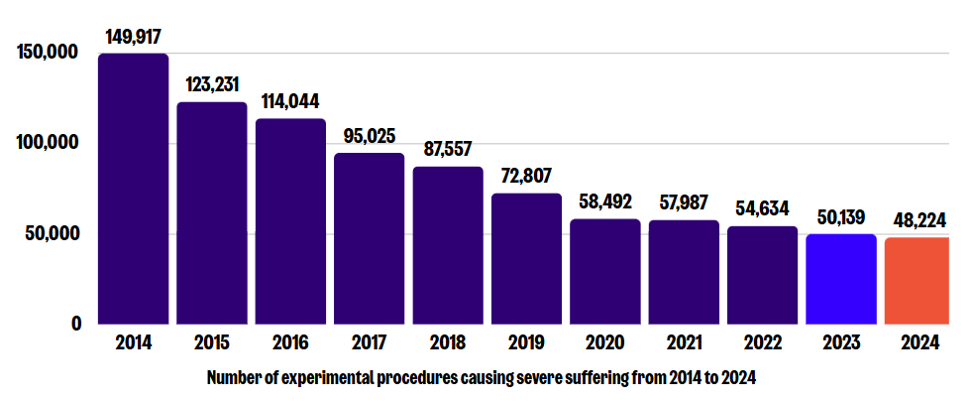 Chart showing total severe procedures in animal research from 2014 to 2024