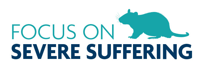 Launch of refreshed website – ‘Focus on severe suffering’