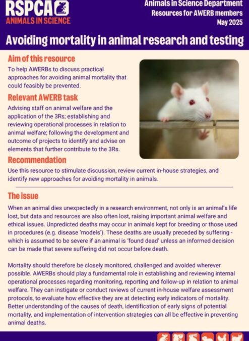 New information sheet: Avoiding mortality in animal research and testing