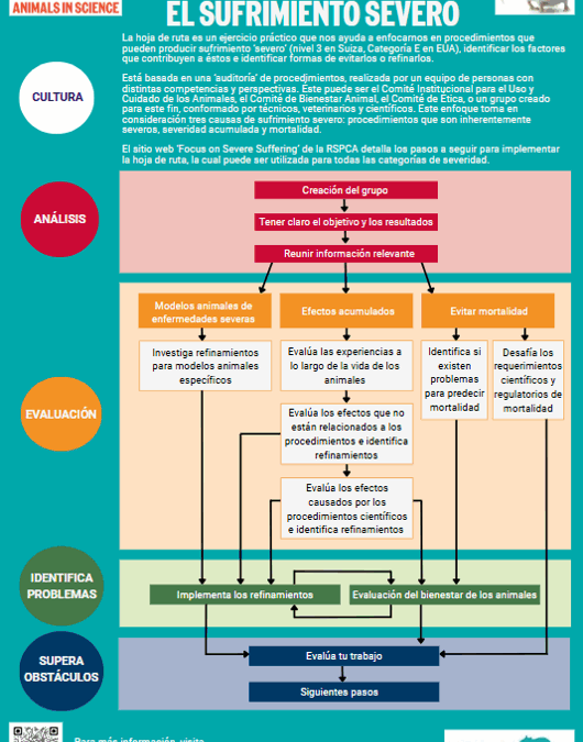 ¡Buenas Noticias! The Roadmap resources are now available in Spanish